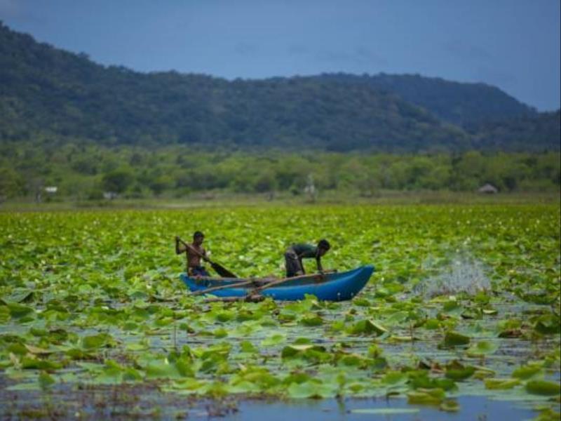 Grand Tamarind Lake Kataragama Exteriér fotografie